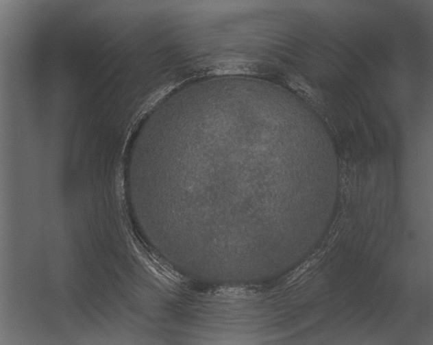 X0000056350298200509021729