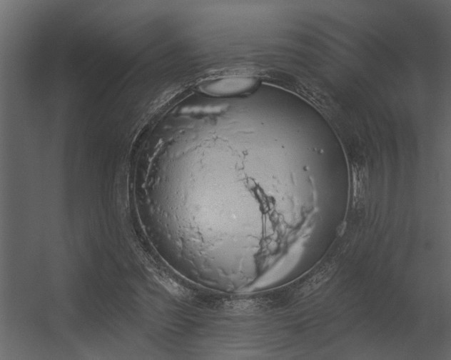 X0000056350301200509021729