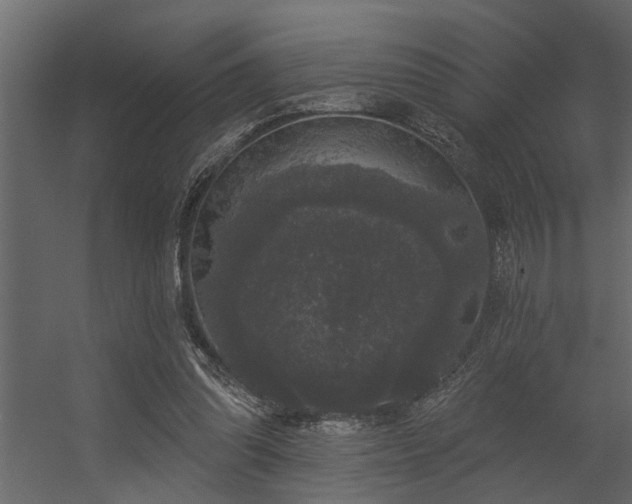 X0000056350302200509021729