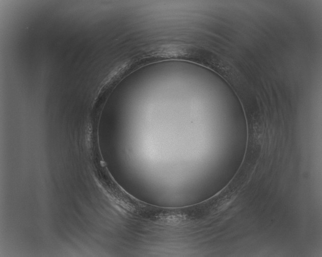 X0000056350304200509021729