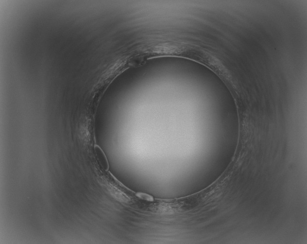 X0000056350305200509021729