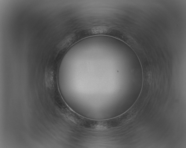 X0000056350308200509021729