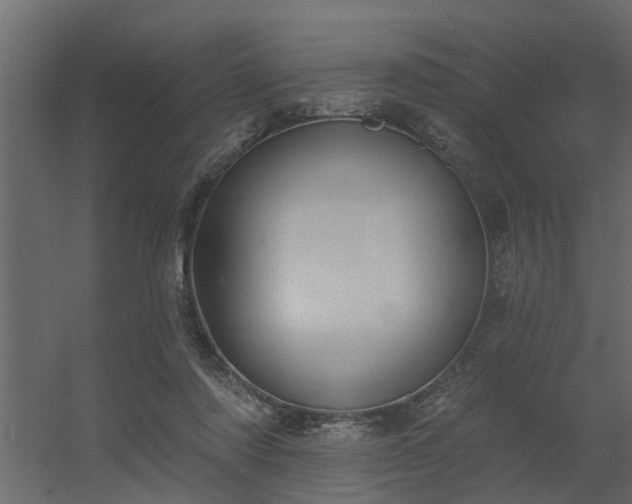 X0000056350310200509021729