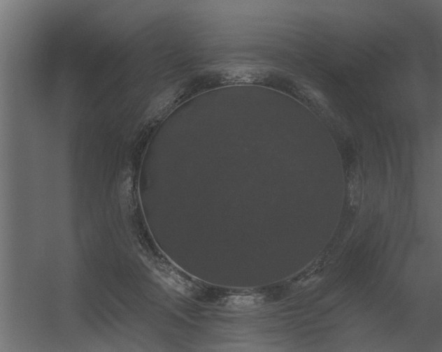 X0000056350314200509021729