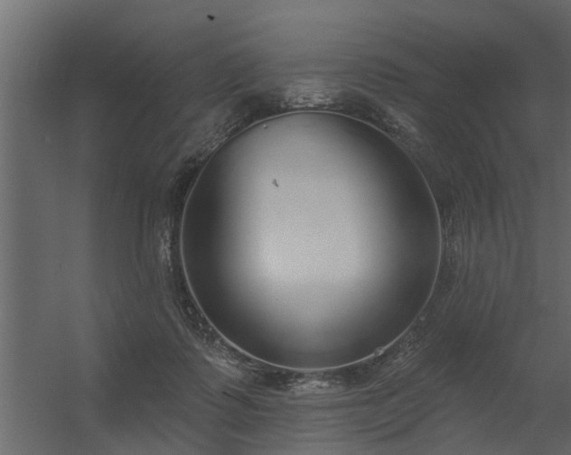 X0000056350315200509021729