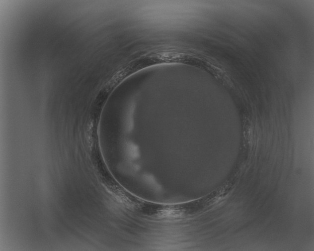 X0000056350319200509021729