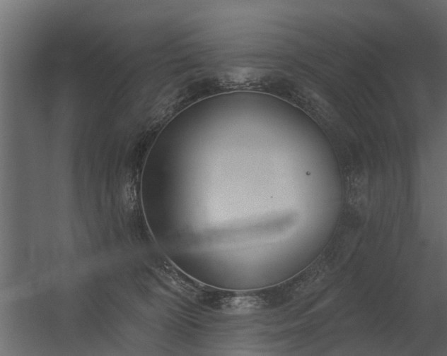 X0000056350324200509021728