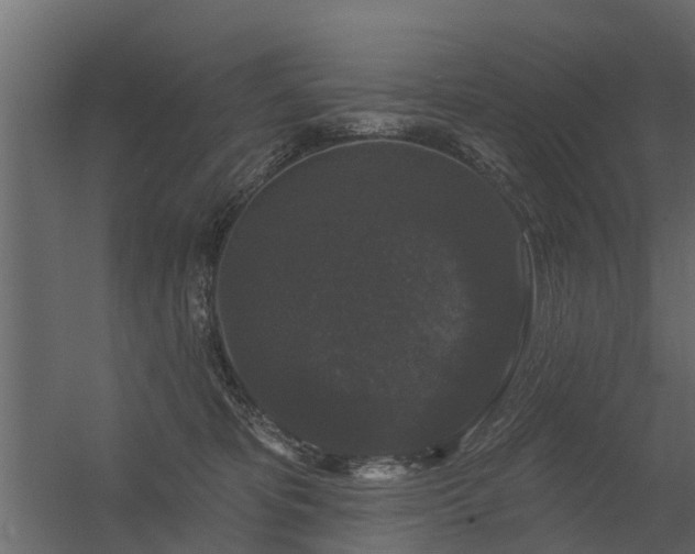 X0000056350325200509021728