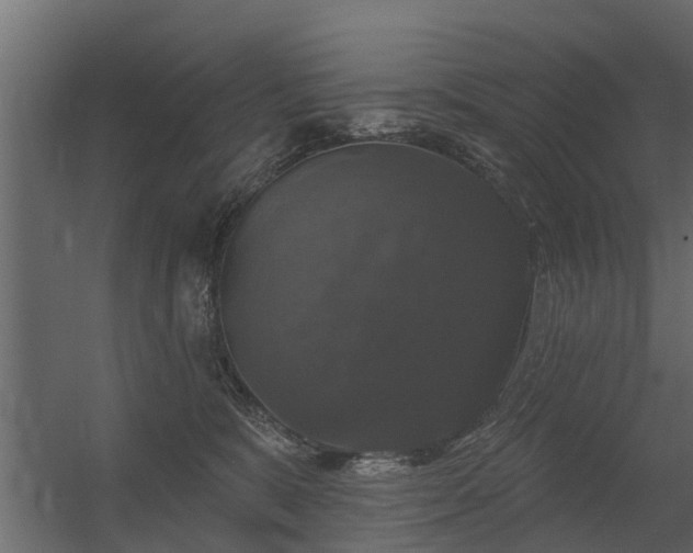 X0000056350327200509021728