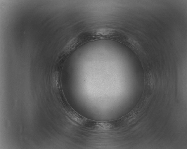 X0000056350328200509021728