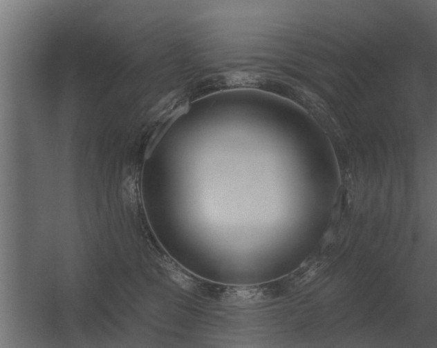 X0000056350329200509021728