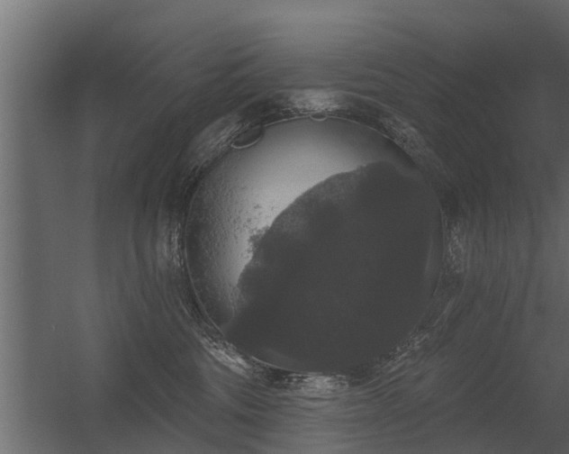 X0000056350330200509021728