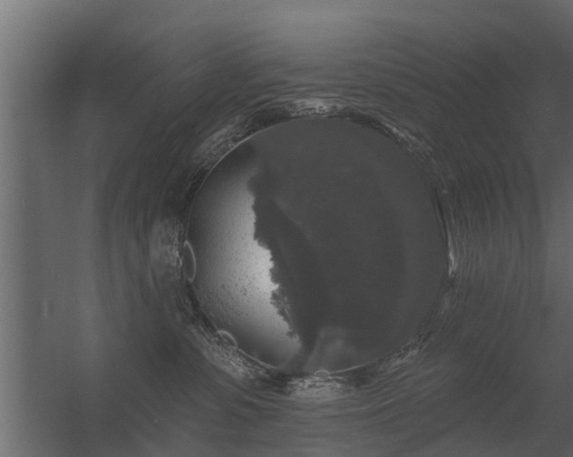 X0000056350331200509021728