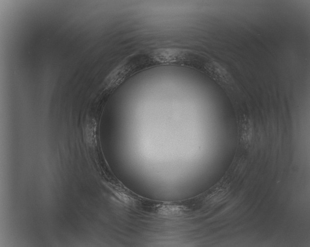 X0000056350332200509021728