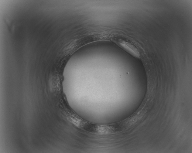 X0000056350336200509021728