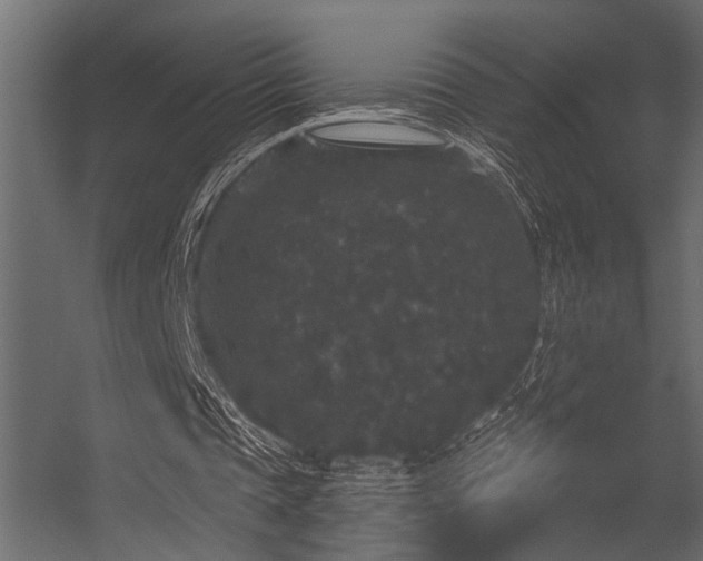 X0000056350337200509021727