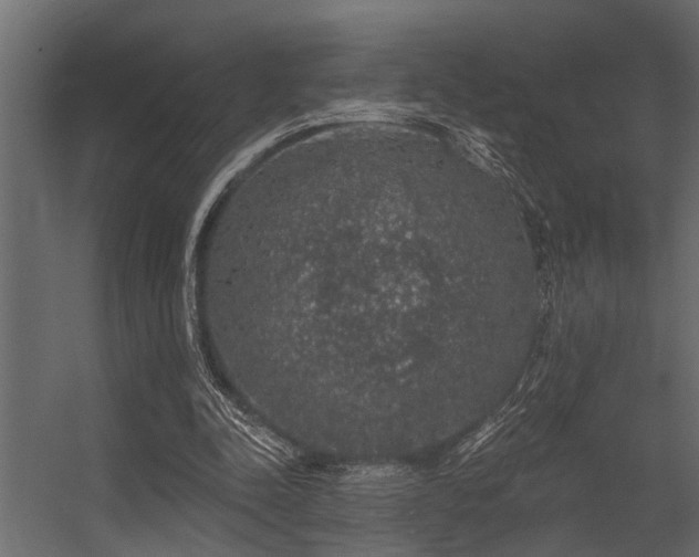 X0000056350342200509021727