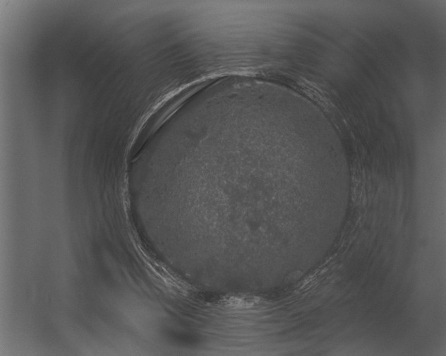 X0000056350346200509021728