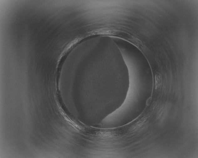 X0000056350349200509021728