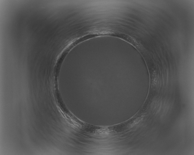 X0000056350351200509021728