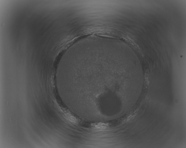 X0000056350359200509021728