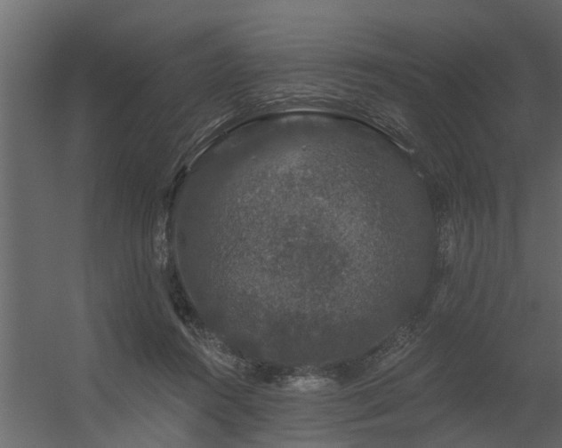 X0000056350360200509021728