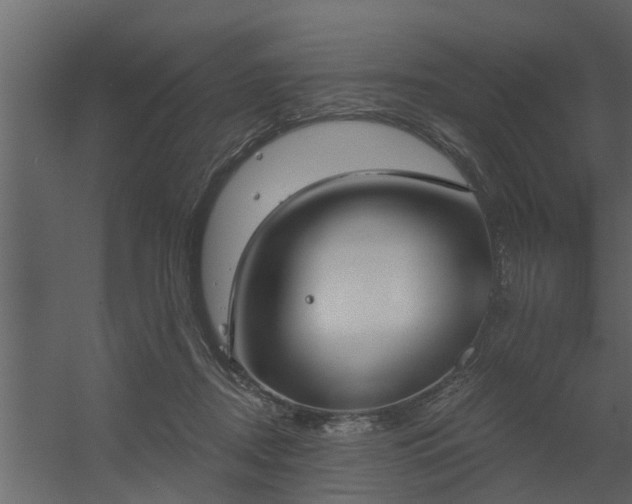 X0000056350362200509021728