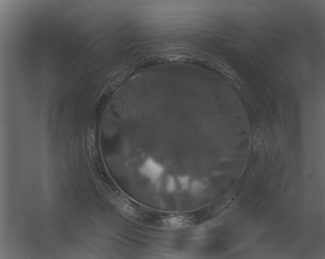 X0000056350365200509021728