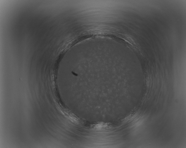 X0000056350366200509021728