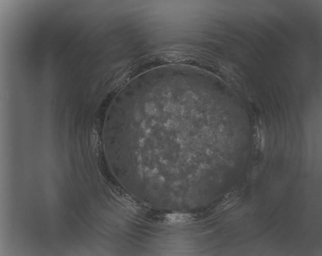 X0000056350371200509021728