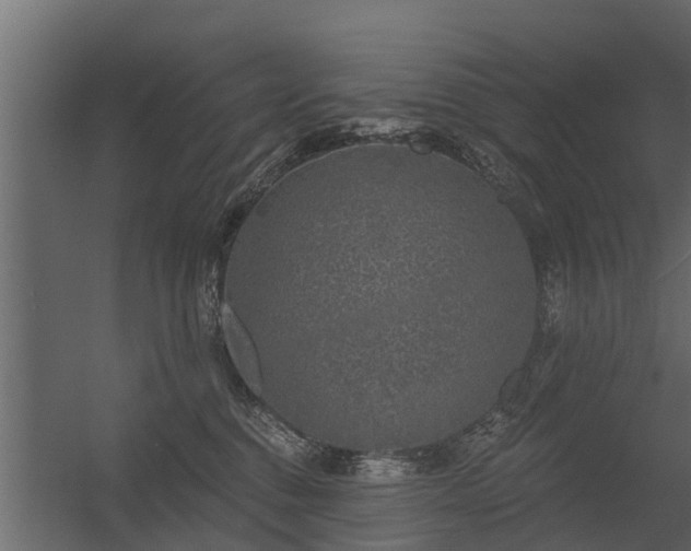 X0000056350376200509021728