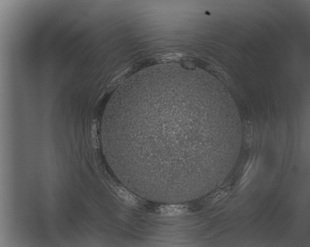 X0000056350378200509021728