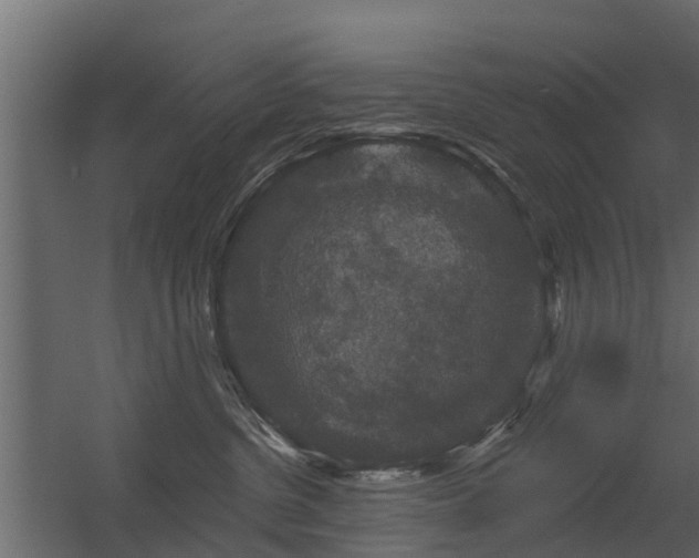 X0000056350380200509021728