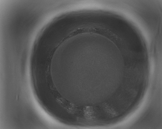 X0000056350382200509021728