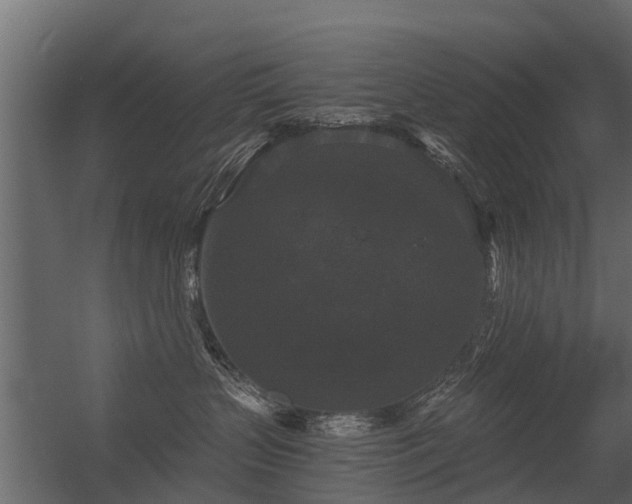 X0000056350383200509021728