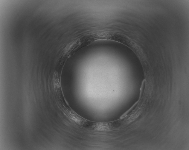 X0000056350384200509021728