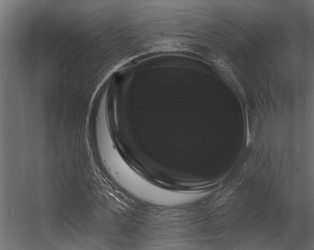 X0000056350387200509021727