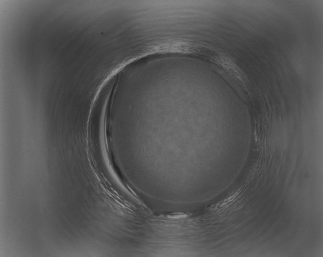 X0000056350388200509021727