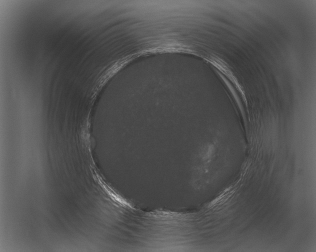 X0000056350389200509021727