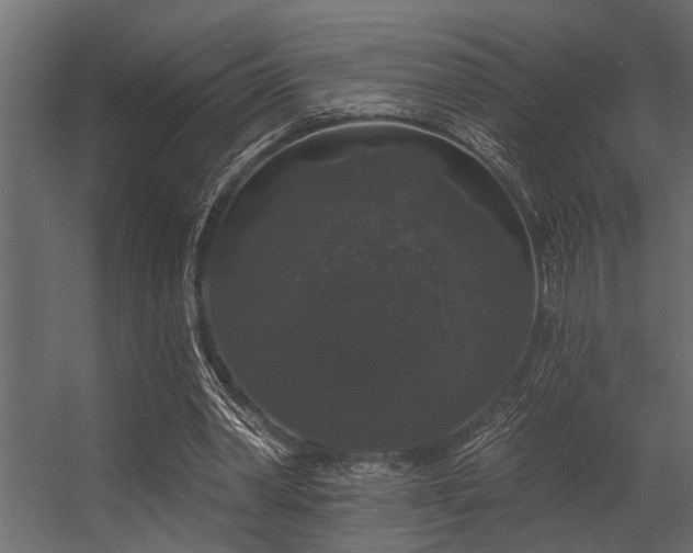 X0000056350390200509021727