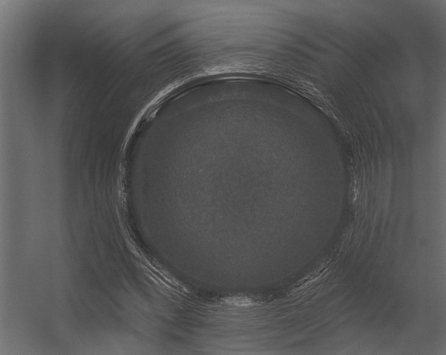 X0000056350392200509021727