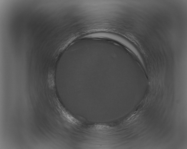 X0000056350393200509021727