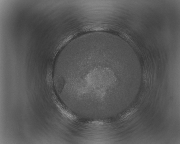 X0000056350394200509021727