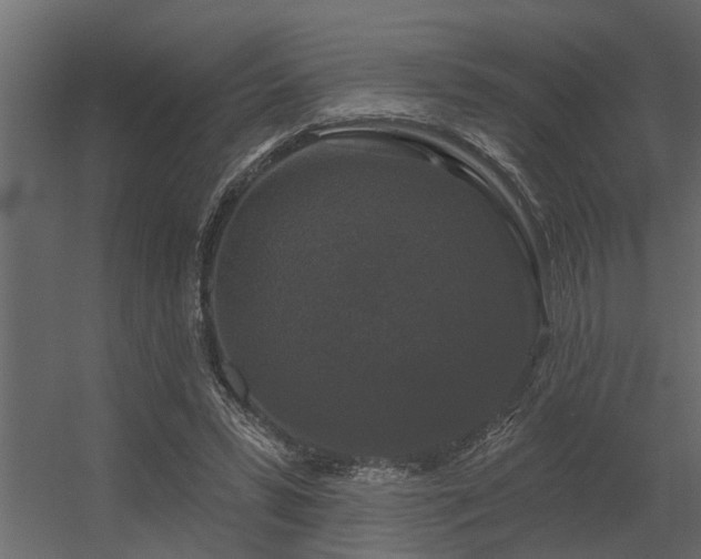 X0000056350399200509021727