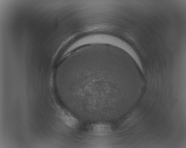 X0000056350400200509021727