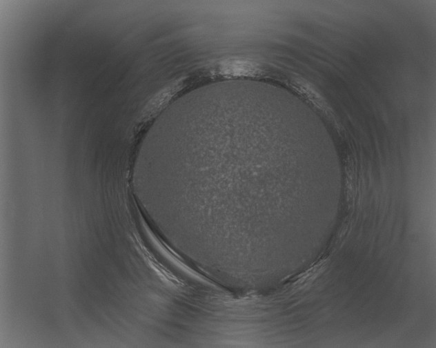 X0000056350401200509021727