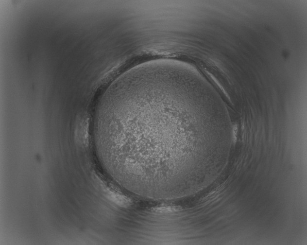 X0000056350404200509021727