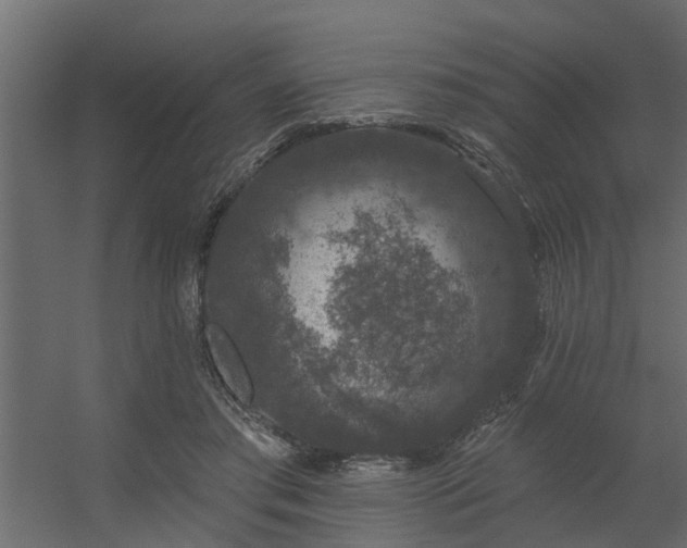 X0000056350405200509021727