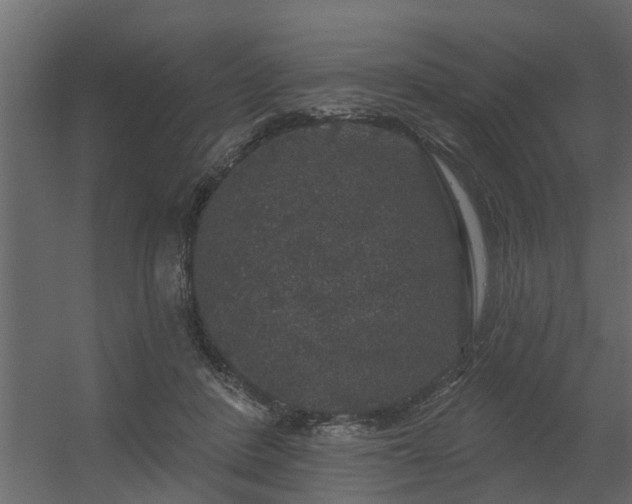 X0000056350408200509021727