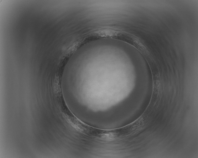 X0000056350411200509021727